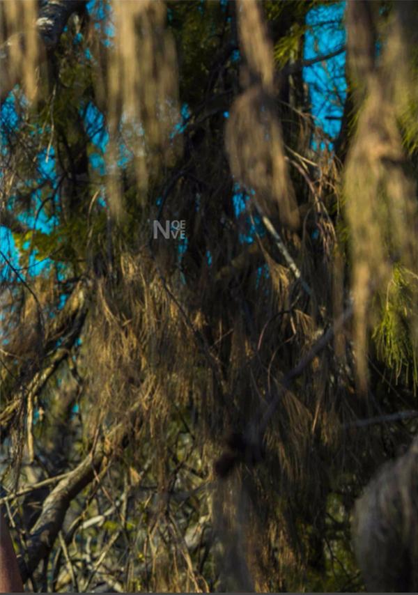 Whoseman-4-明星教練男丁格爾-芬達-全裸非全見寫真書